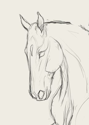 Desenhos de Cavalo: Esboço de Cavalo realista para desenhar