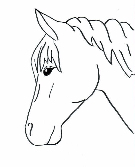 Desenhos de Cavalo: Cabeça de cavalo simples para desenhar