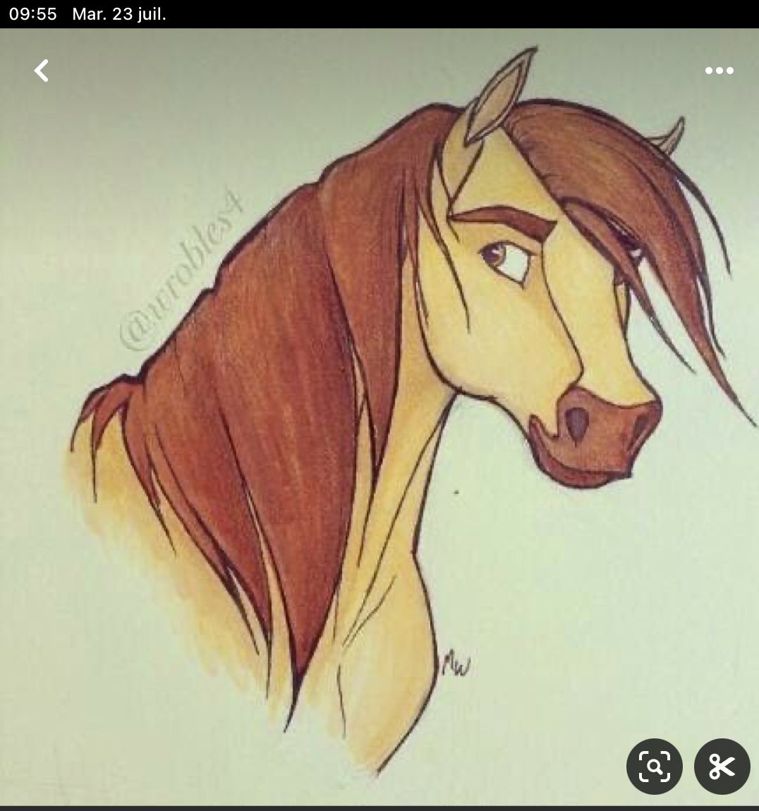 Desenhos de Cavalo: Cavalo realista a lápis para desenhar