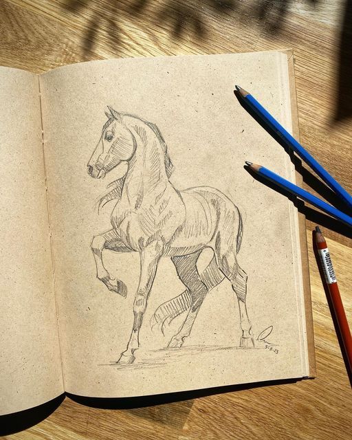 Desenhos de Cavalo: Cavalo realista a lápis para desenhar