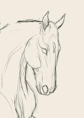 Desenhos de Cavalo: Cavalo realista a lápis para desenhar
