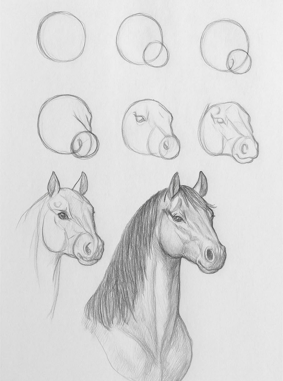 Desenhos de Cavalo: passo a passo para desenhar um cavalo