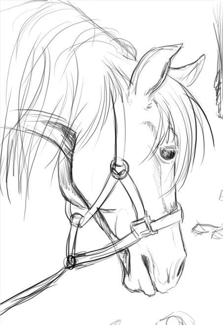 Desenhos de Cavalo: Cavalo realista a lápis para desenhar