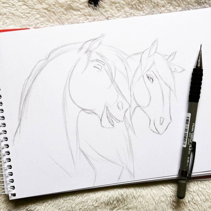 Desenhos de Cavalo: Esboço de cavalos realistas a lápis