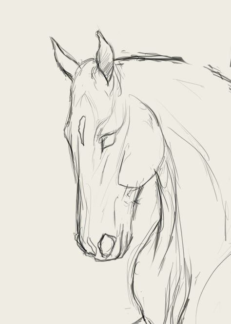 Desenhos de Cavalo: Cavalo realista a lápis para desenhar