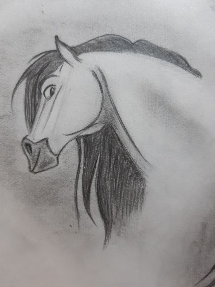 Desenhos de Cavalo: Cavalo realista a lápis para desenhar