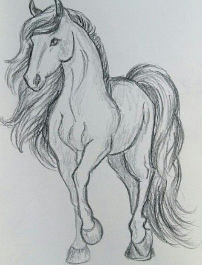 Desenhos de Cavalo: Cavalo realista a lápis para desenhar