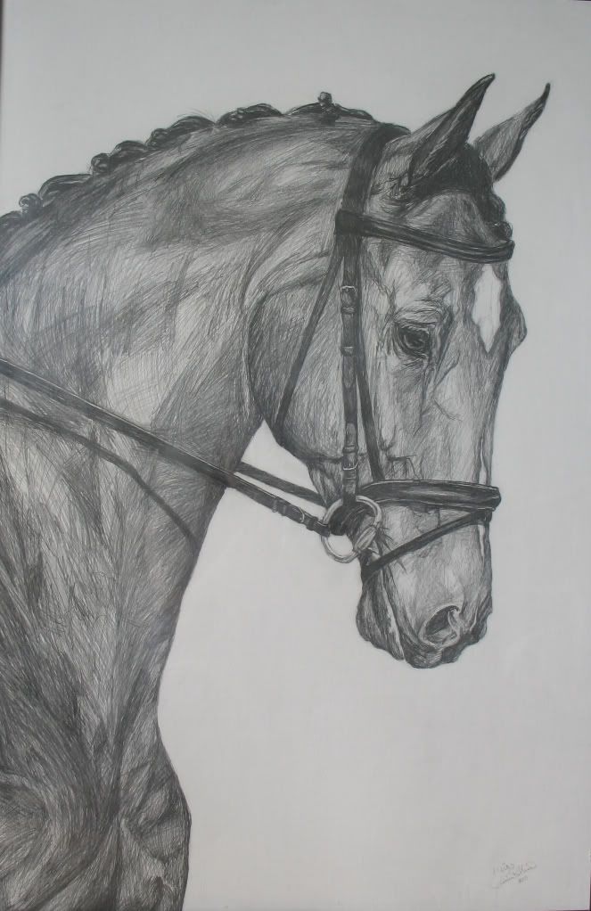 Desenhos de Cavalo: Cavalo realista a lápis para desenhar