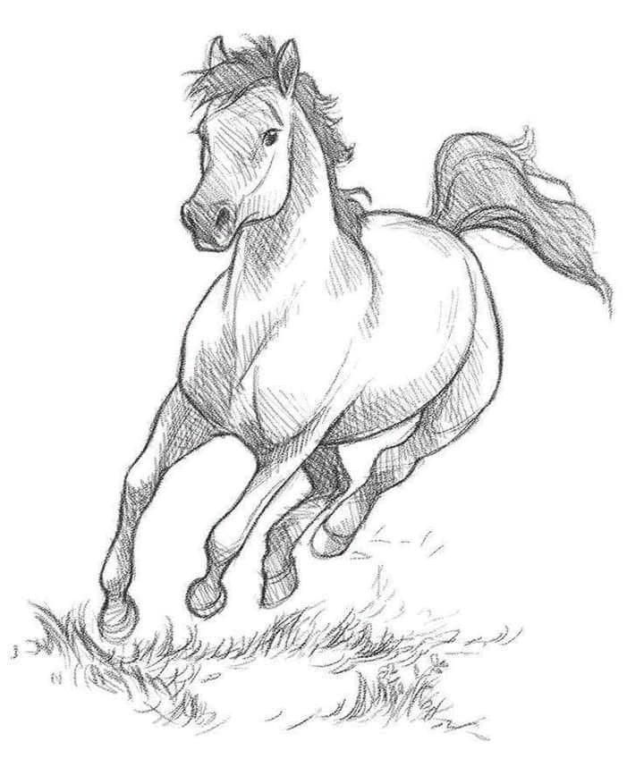 Desenhos de Cavalo: Cavalo correndo em um desenho realista