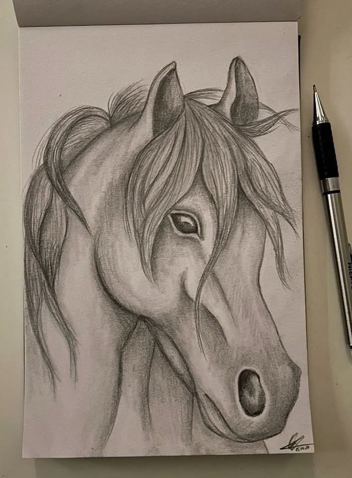 Desenhos de Cavalo: Cabeça de Cavalo Realista a Lápis
