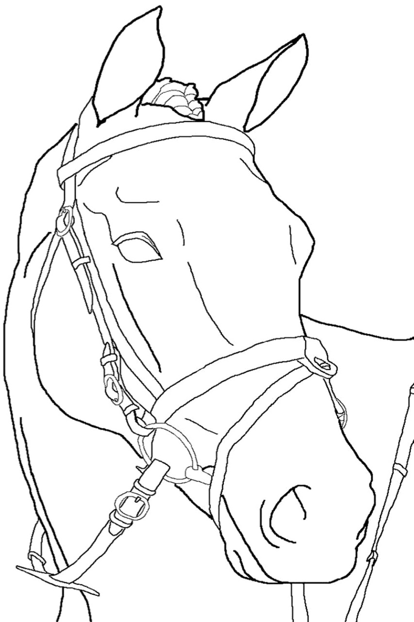 Desenhos de Cavalo: Cavalo realista a lápis para desenhar