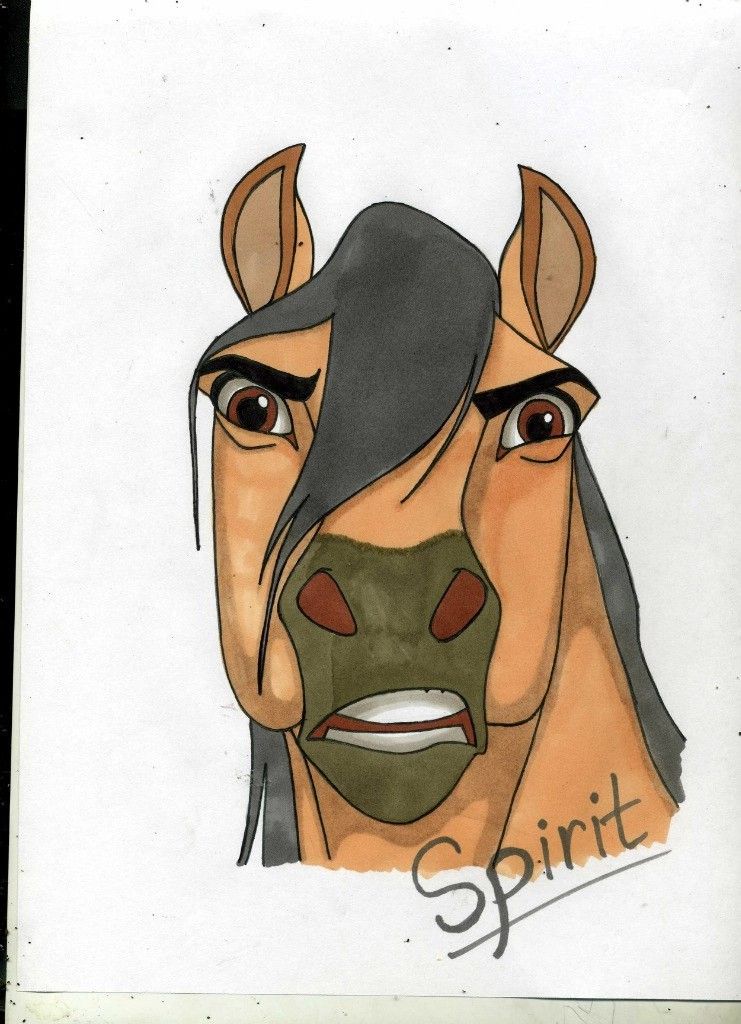 Desenhos de Cavalo: Cavalo Spirit com expressão intensa para desenhar
