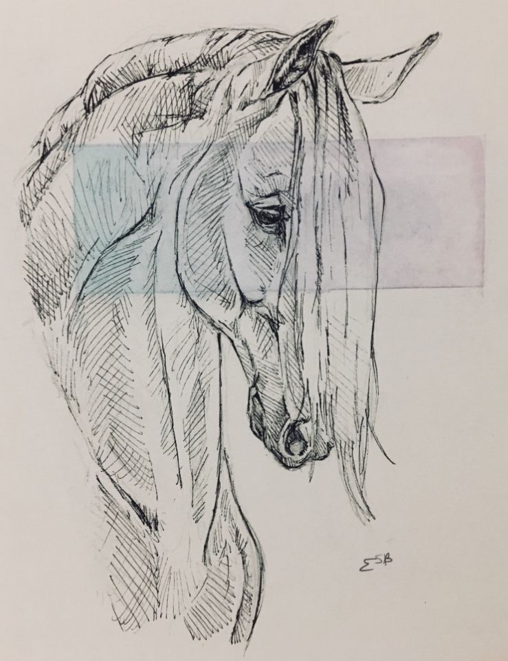Desenhos de Cavalo: Cavalo realista a lápis para desenhar