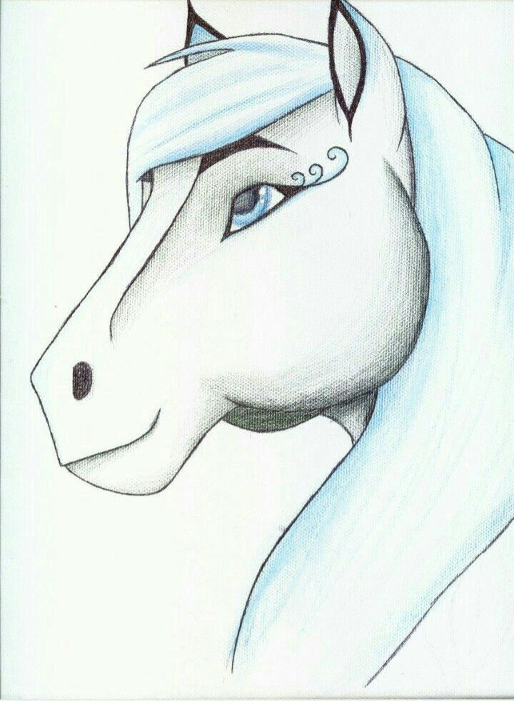 Desenhos de Cavalo: Cavalo estilizado fácil para desenhar