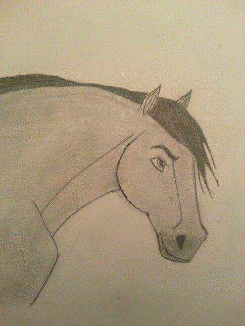 Desenhos de Cavalo: Cavalo realista a lápis para desenhar