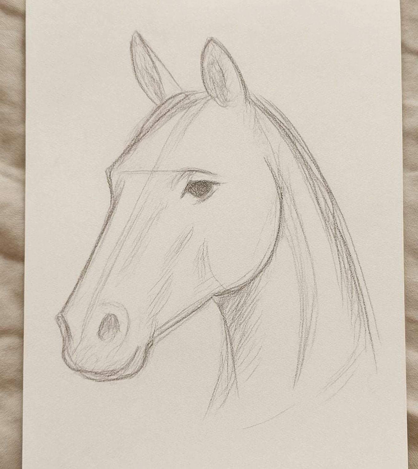 Desenhos de Cavalo: Cavalo realista a lápis para desenhar