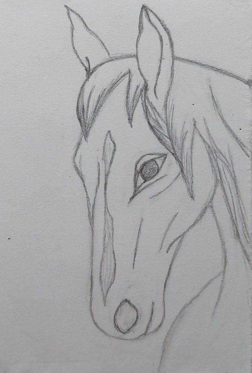 Desenhos de Cavalo: Cavalo realista a lápis para desenhar