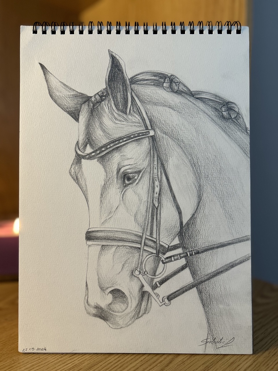 Desenhos de Cavalo: Cavalo realista a lápis para desenhar