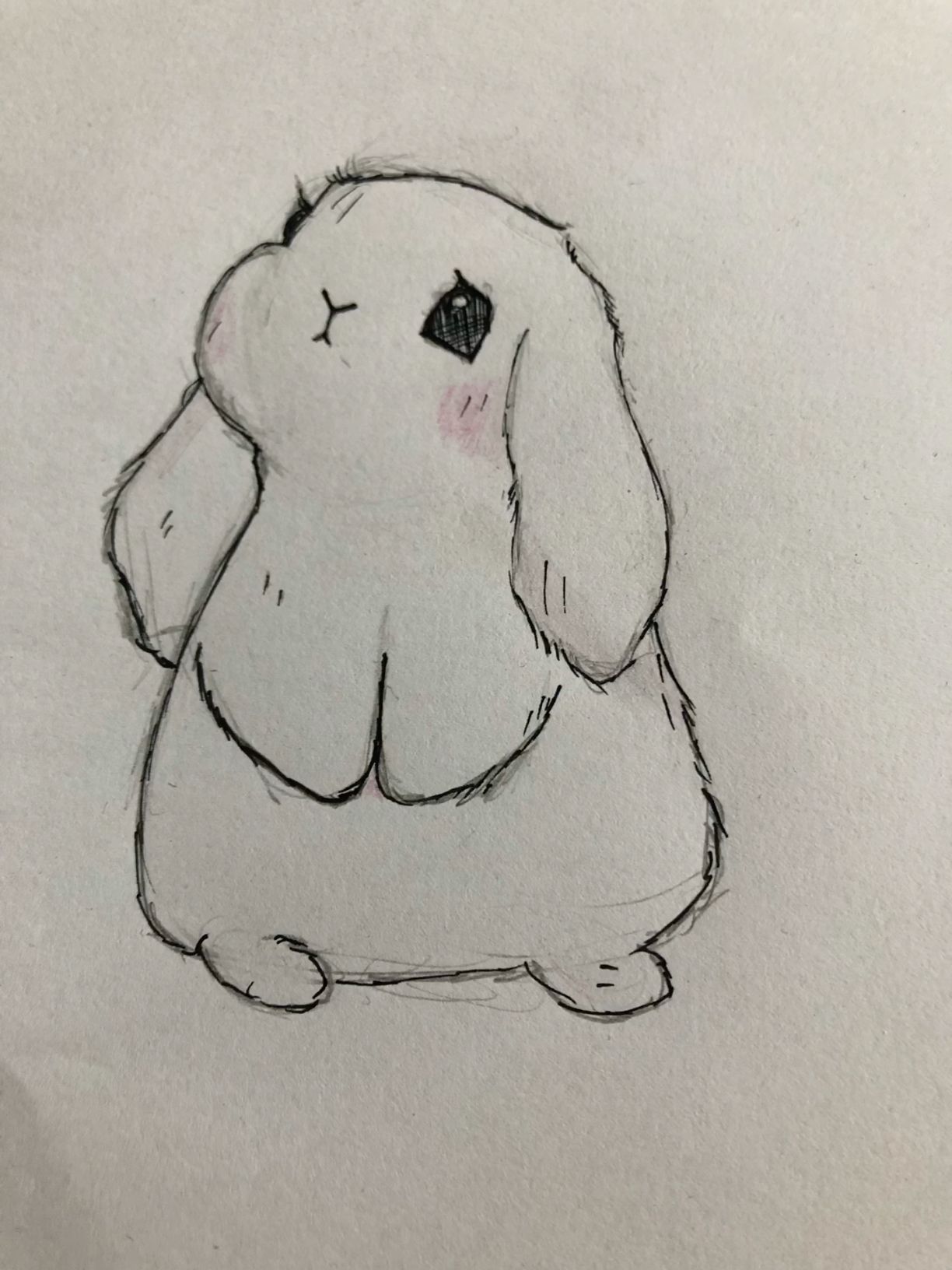 Desenho de Coelho: Coelho fofo e simples para desenhar