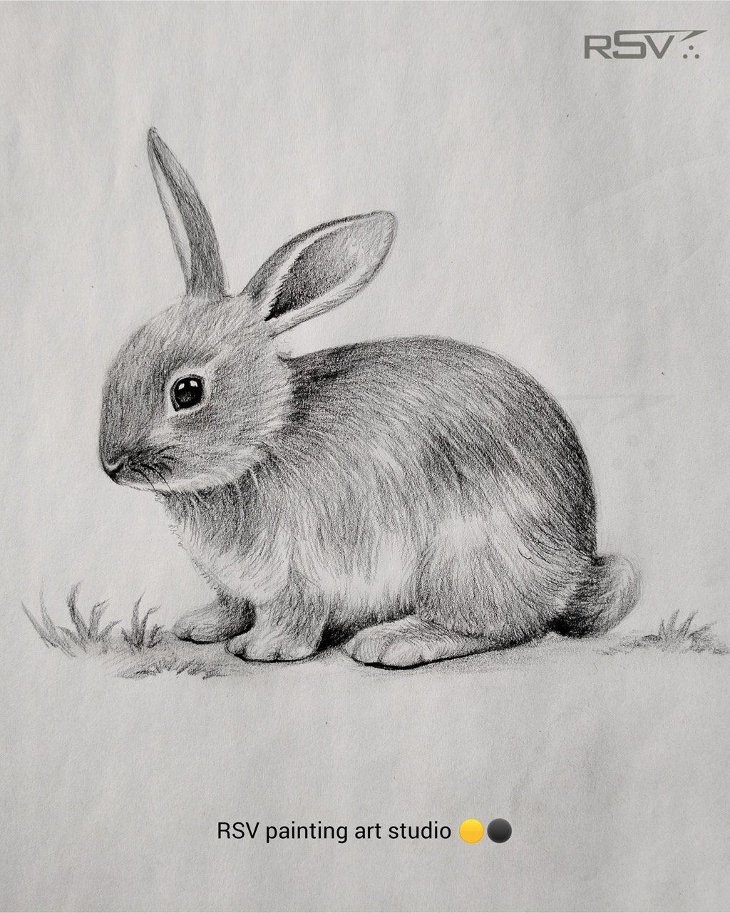 Desenho de Coelho: Coelho fofo a lápis para desenhar