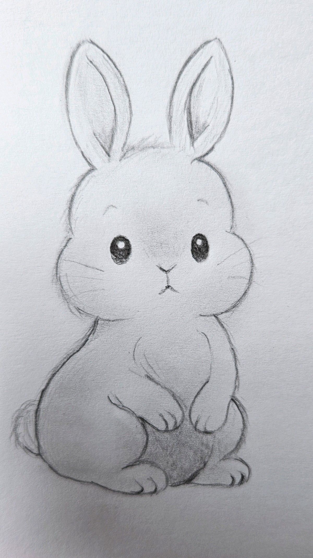 Desenho de Coelho: Coelho fofo a lápis para desenhar