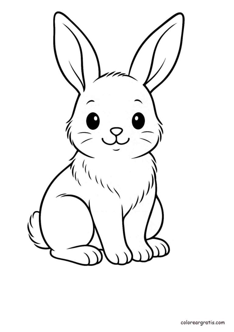 Desenho de Coelho Fofinho para desenhar a lápis