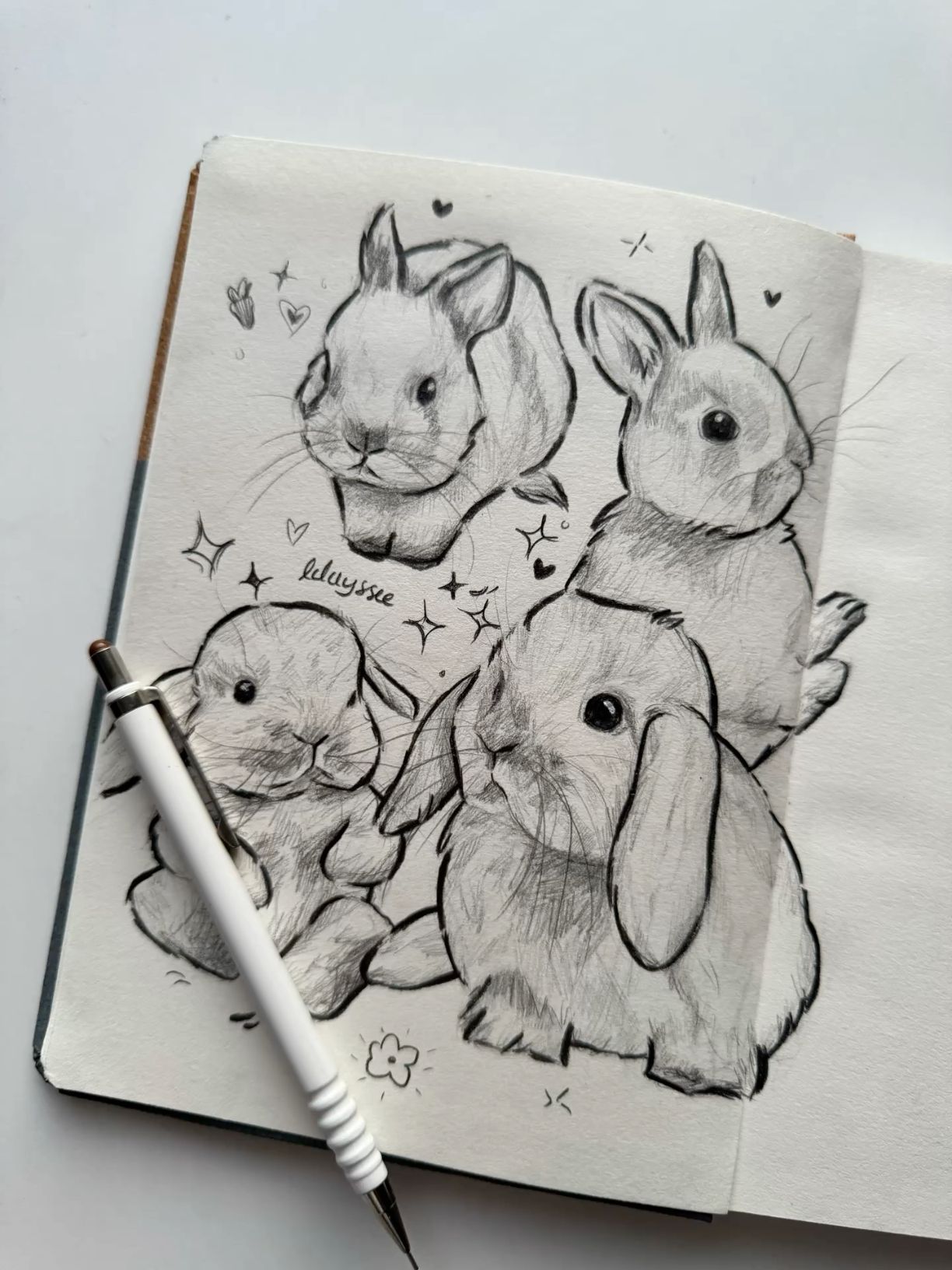 Desenho de Coelho: várias poses de coelhos fofos a lápis