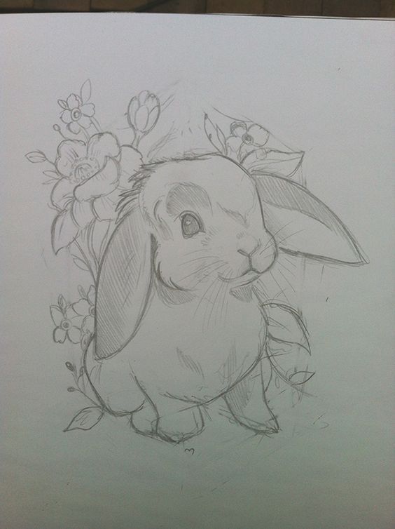 Desenho de Coelho: Coelho fofo com flores para desenhar