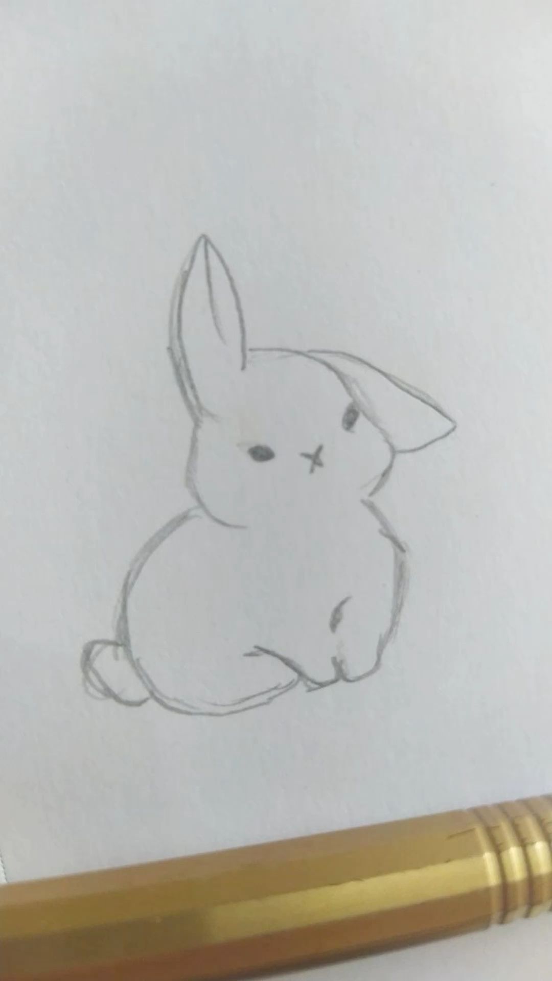 Desenho de Coelho: Coelho fofo a lápis para desenhar