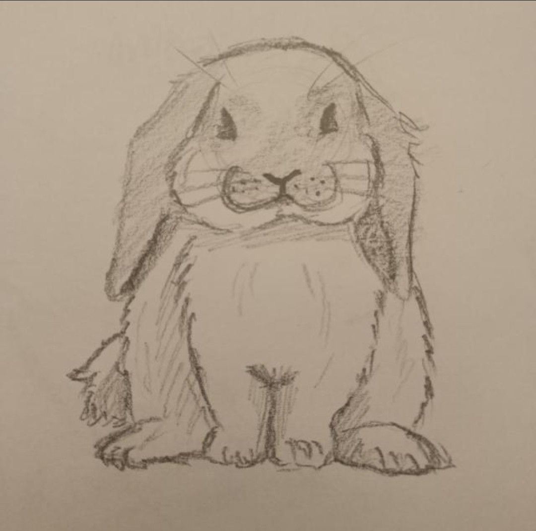 Desenho de Coelho: Coelho fofo a lápis para desenhar