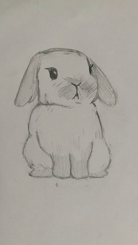 Desenho de Coelho: Coelho fofo a lápis para desenhar