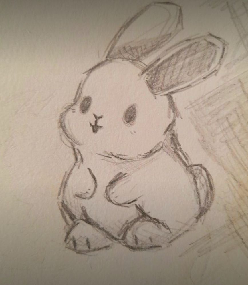Desenho de Coelho: Coelho fofo e simples a lápis para desenhar