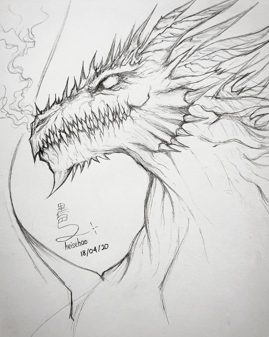 Desenho de Dragão: Dragão realista e fofo para desenhar