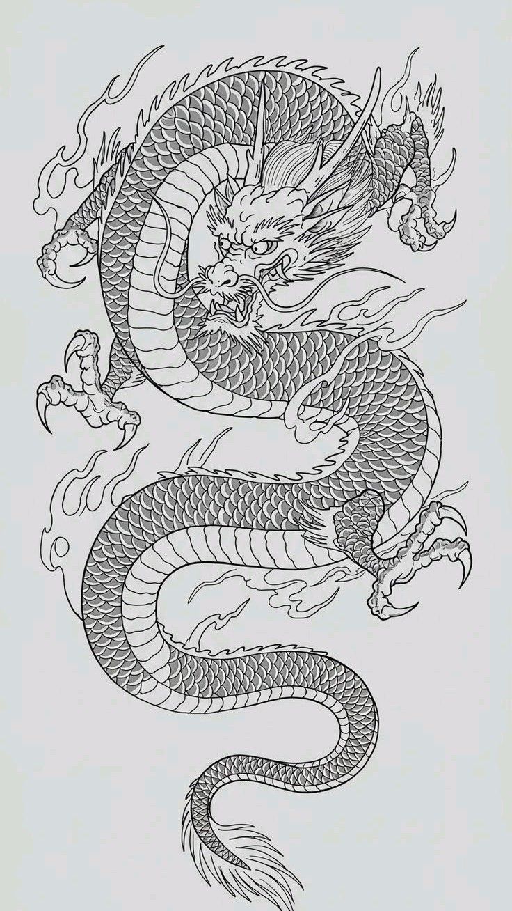 Desenho de Dragão: Dragão fofo e detalhado para desenhar