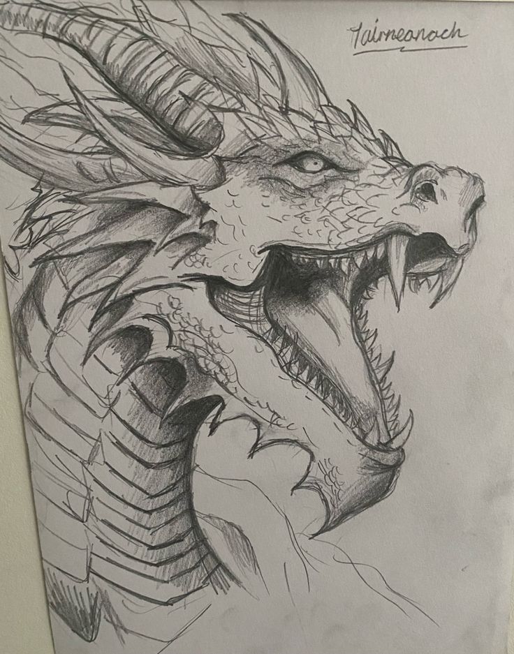 Desenho de Dragão: Dragão fofa a lápis para desenhar