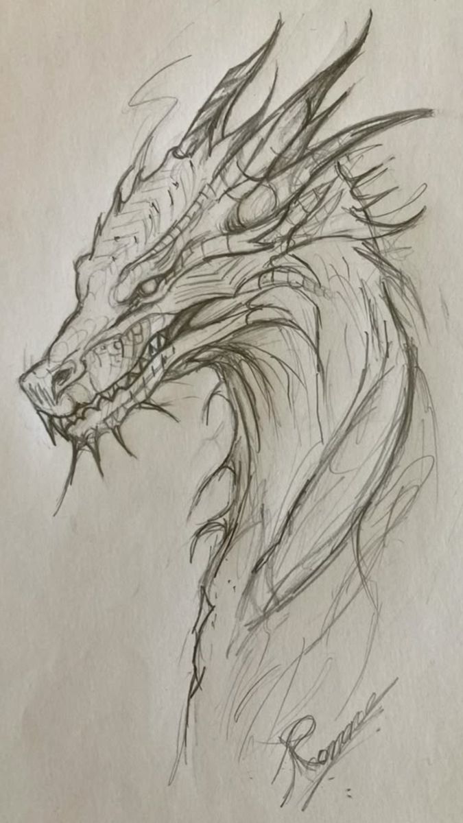 Desenho de Dragão: dragão realista a lápis para desenhar
