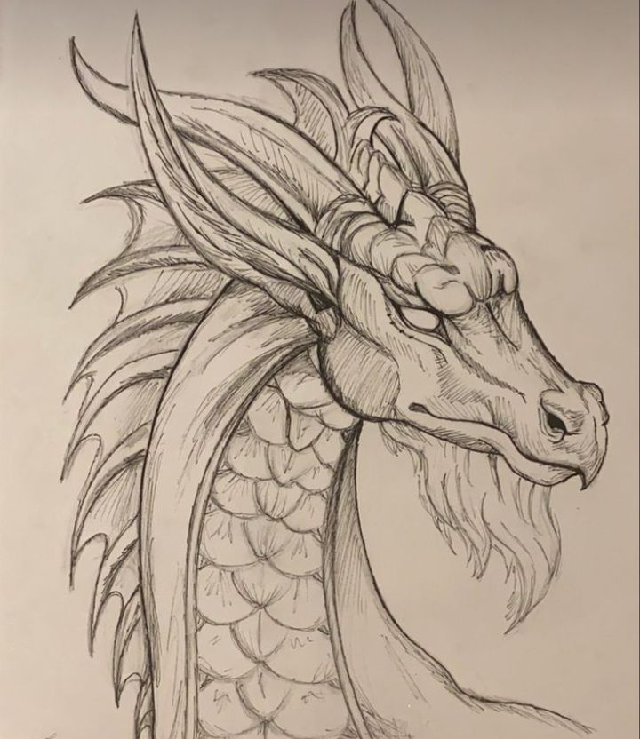 Desenho de Dragão: Dragão realista a lápis para desenhar