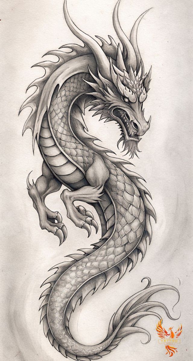 Desenho de Dragão: Dragão realista e detalhado para desenhar