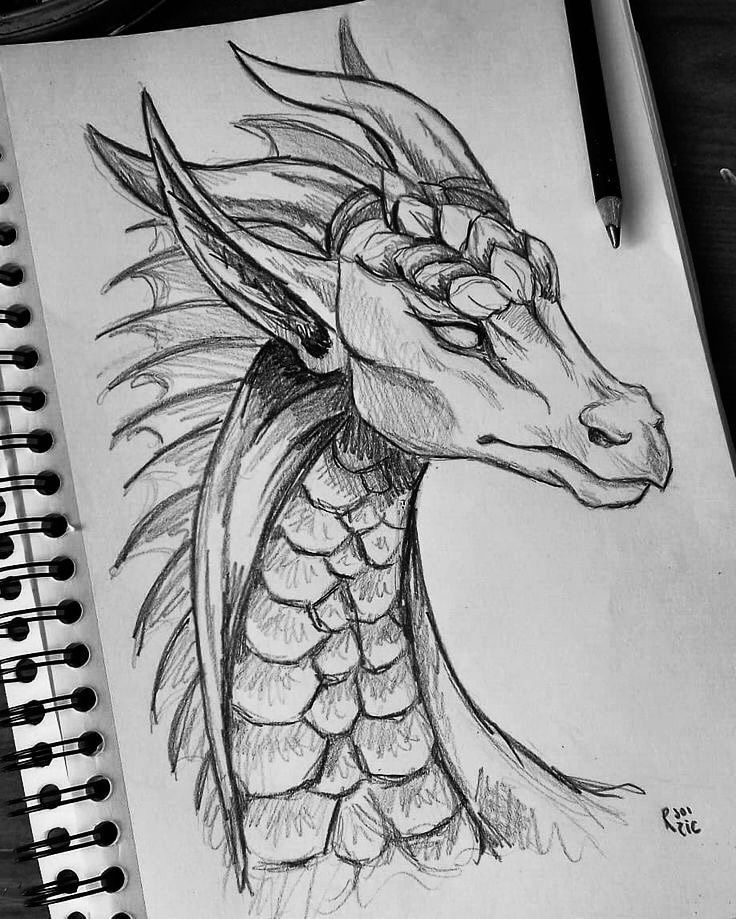 Desenho de Dragão: Dragão a lápis para desenhar simples