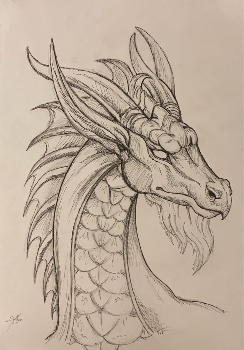 Desenho de Dragão: Dragão realista a lápis para desenhar