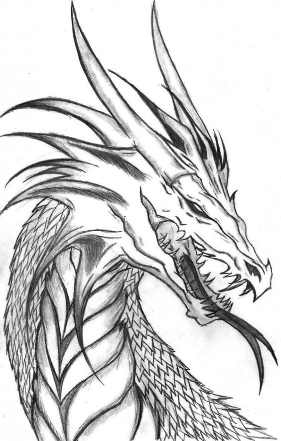 Desenho de Dragão: Dragão detalhado a lápis para desenhar