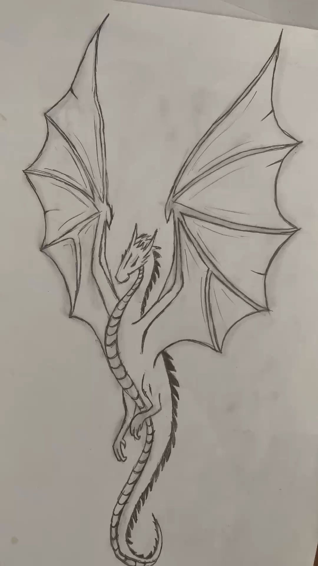 Desenho de Dragão: Dragão com asas grandes para desenhar