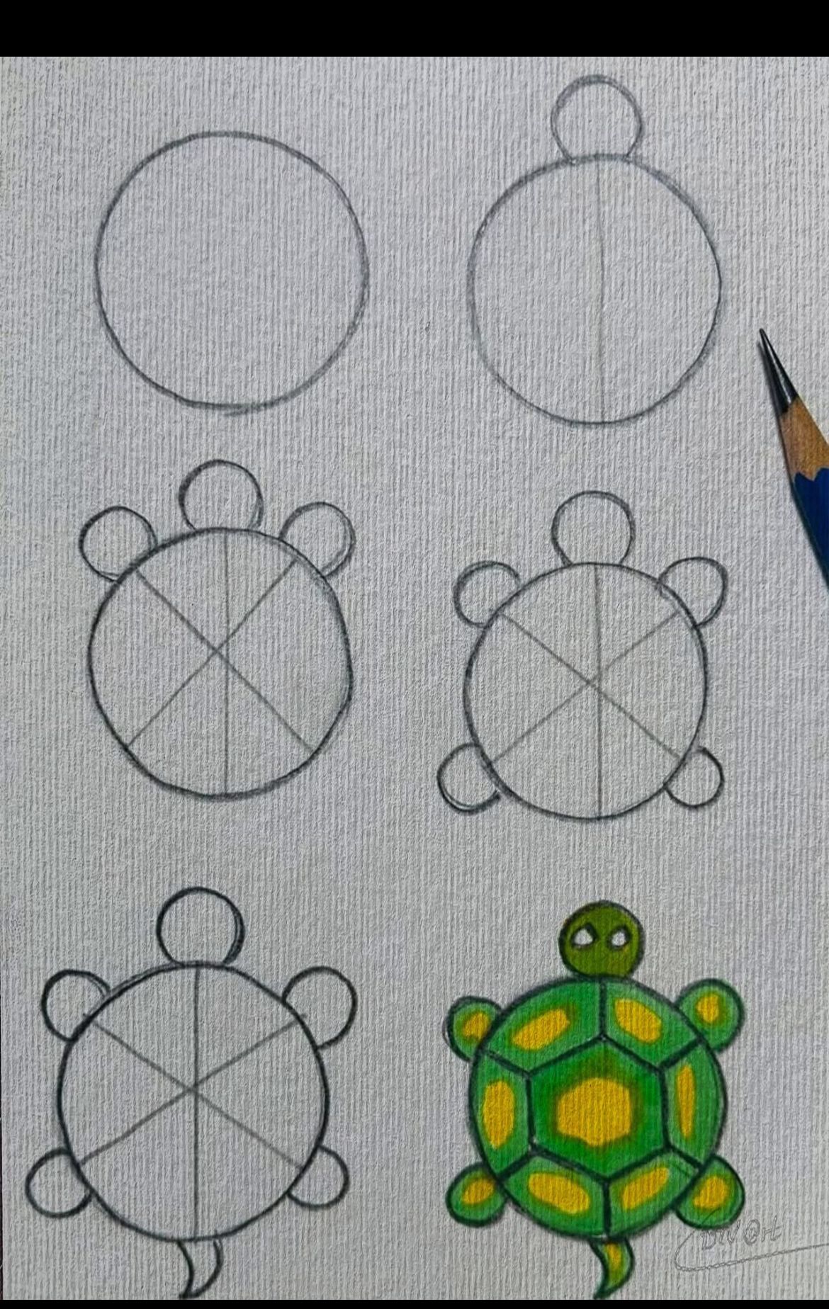 Desenho de Tartaruga: tartaruga fofa a lápis para desenhar