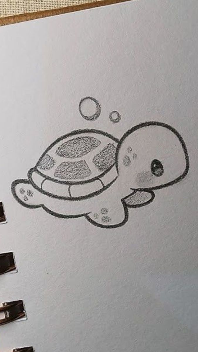 Desenho de Tartaruga: Tartaruga fofa a lápis para desenhar