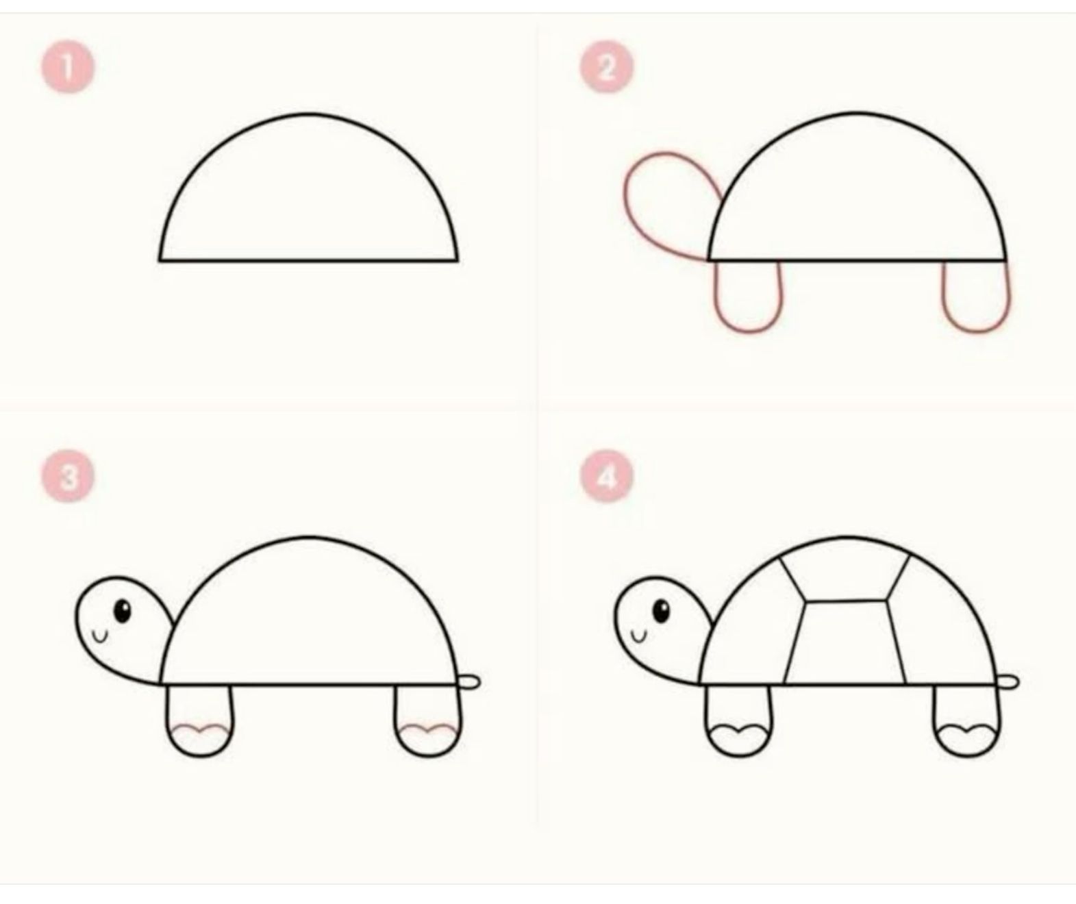 Desenho de Tartaruga: Passo a passo para desenhar tartaruga