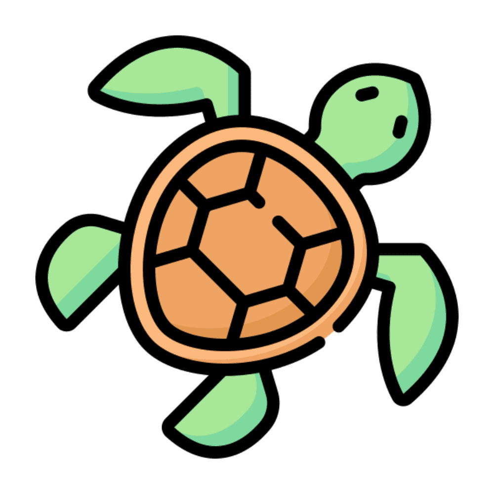 Desenho de Tartaruga: Tartaruga fofa para desenhar a lápis