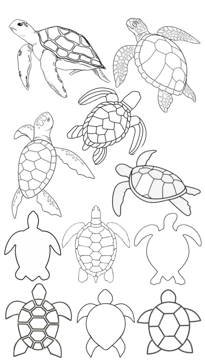 Desenho de Tartaruga: Coleção de tartarugas para desenhar