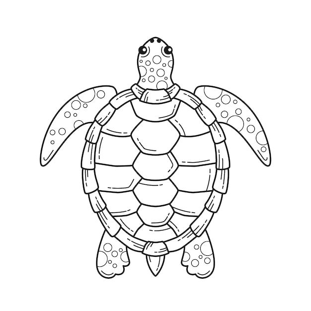 Desenho de Tartaruga: Tartaruga fofa para desenhar