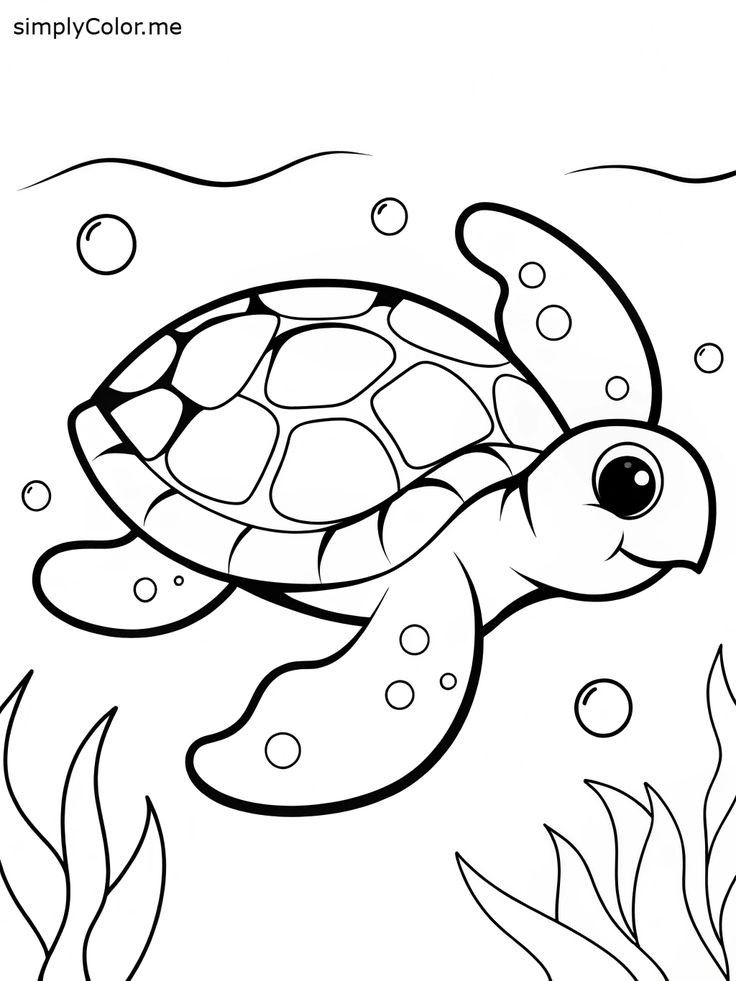 Desenho de Tartaruga: Tartaruga fofa para desenhar
