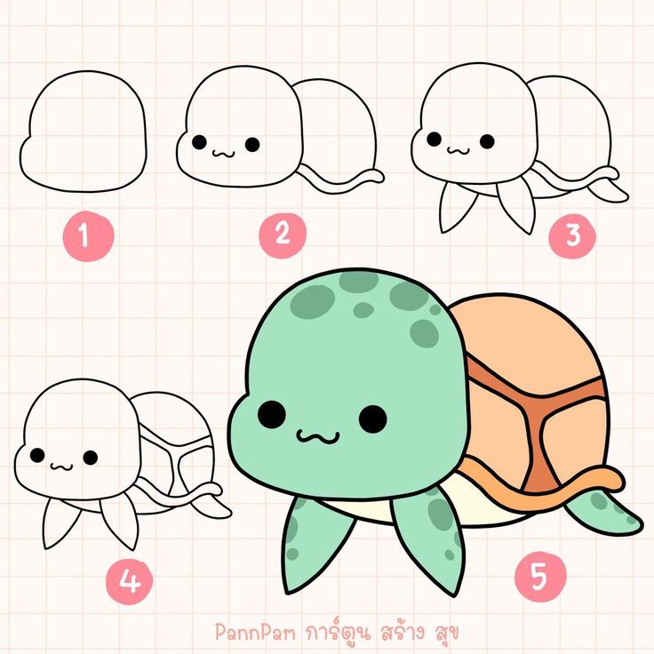 Desenho de Tartaruga: Tartaruga fofa para desenhar fácil